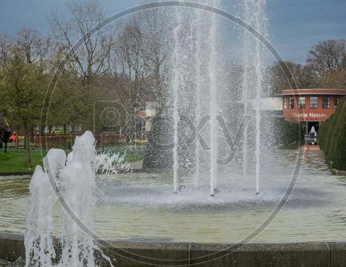 Flower Garden, Netherlands , A Fountain In Front Of A Fire Hydrant