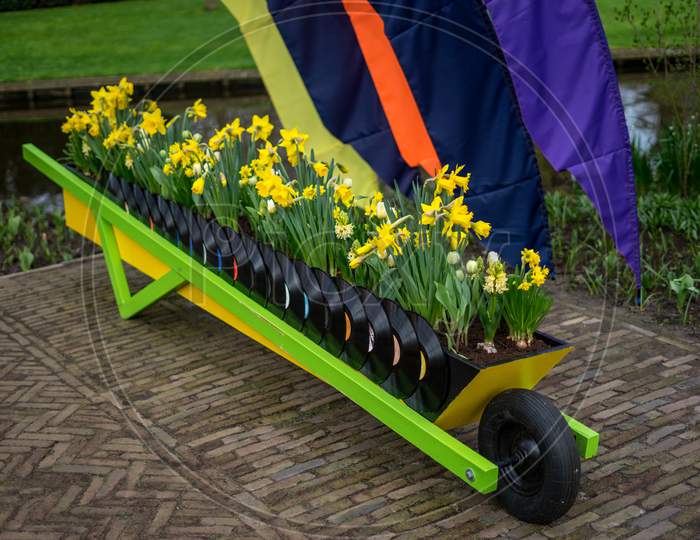 Flower Garden, Netherlands , A Person Holding A Yellow Umbrella