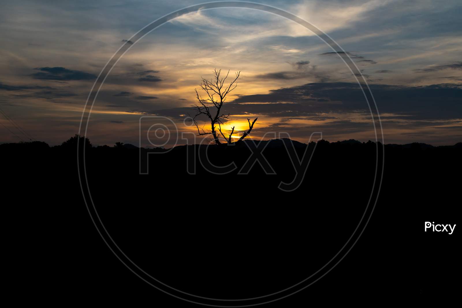 sunset with silhouetted tree