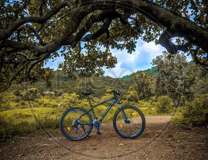 Btwin Rockrider 520 bicycle mtb forest background