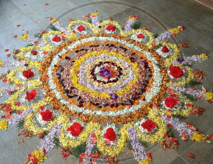 Flower carpet for onam celebration