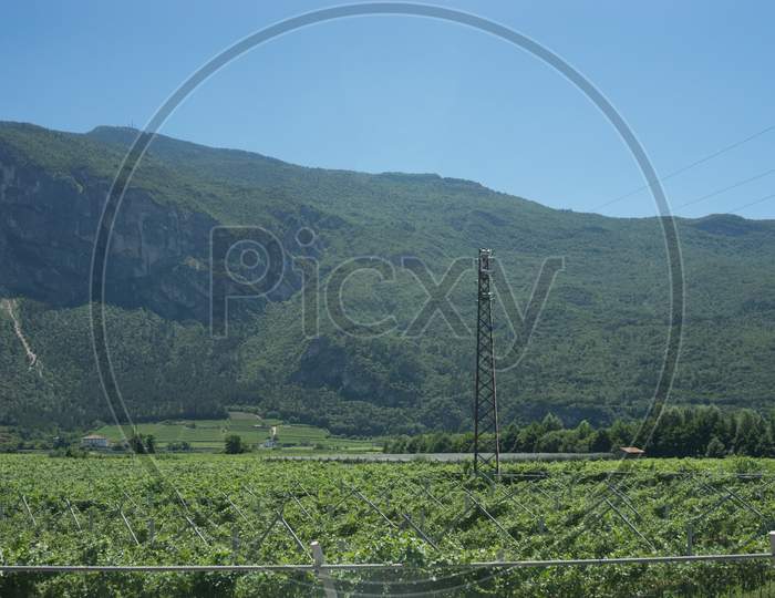 Italy, Train From Bolzano To Venice, A Field With A Mountain In The Background