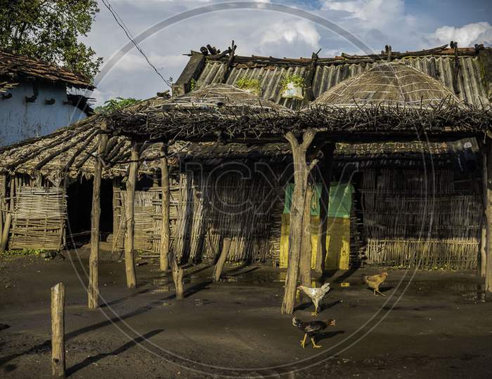 Village hut playing hen