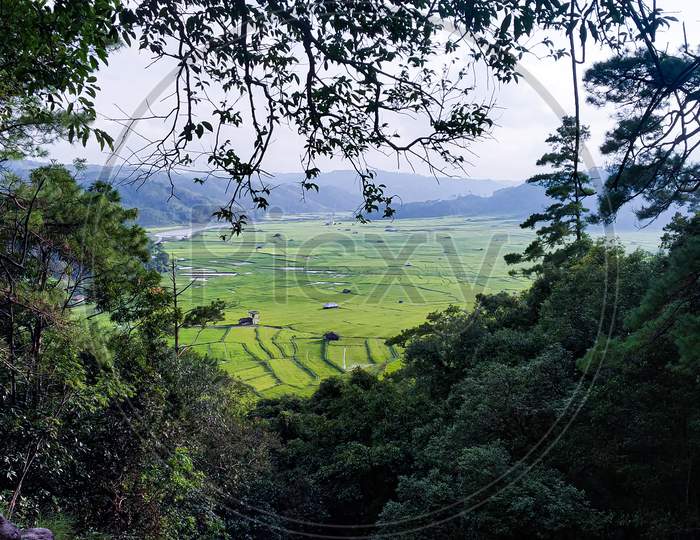 Greenery valley