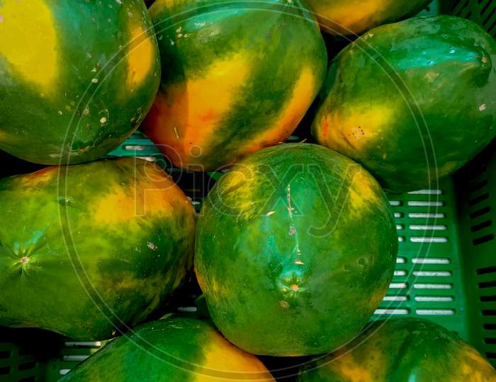 An Hybrid variety of Fresh Papaya fruits grown just harvested in a agricultural farm in   Mysuru countryside in Karnataka/India.