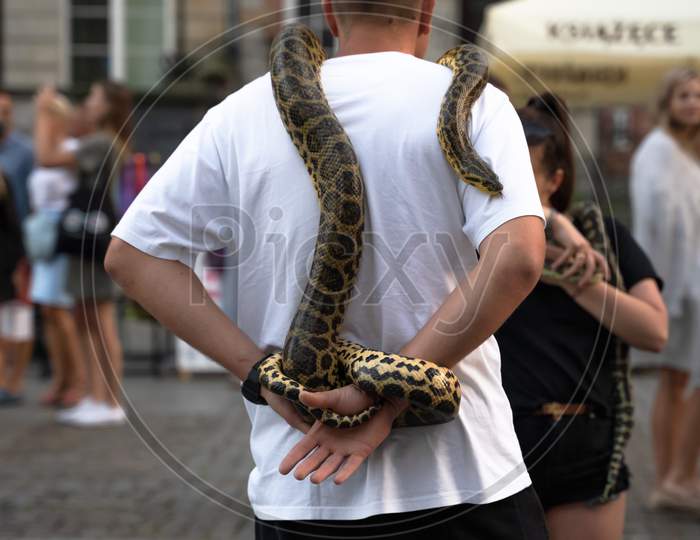 Gdansk, North Poland - August 15, 2020: A Man Carrying A Reptile Snake On His Neck For Taking Picture In The City Center After Masks Were Not Mandatory To Wear Outdoors During Covid Time