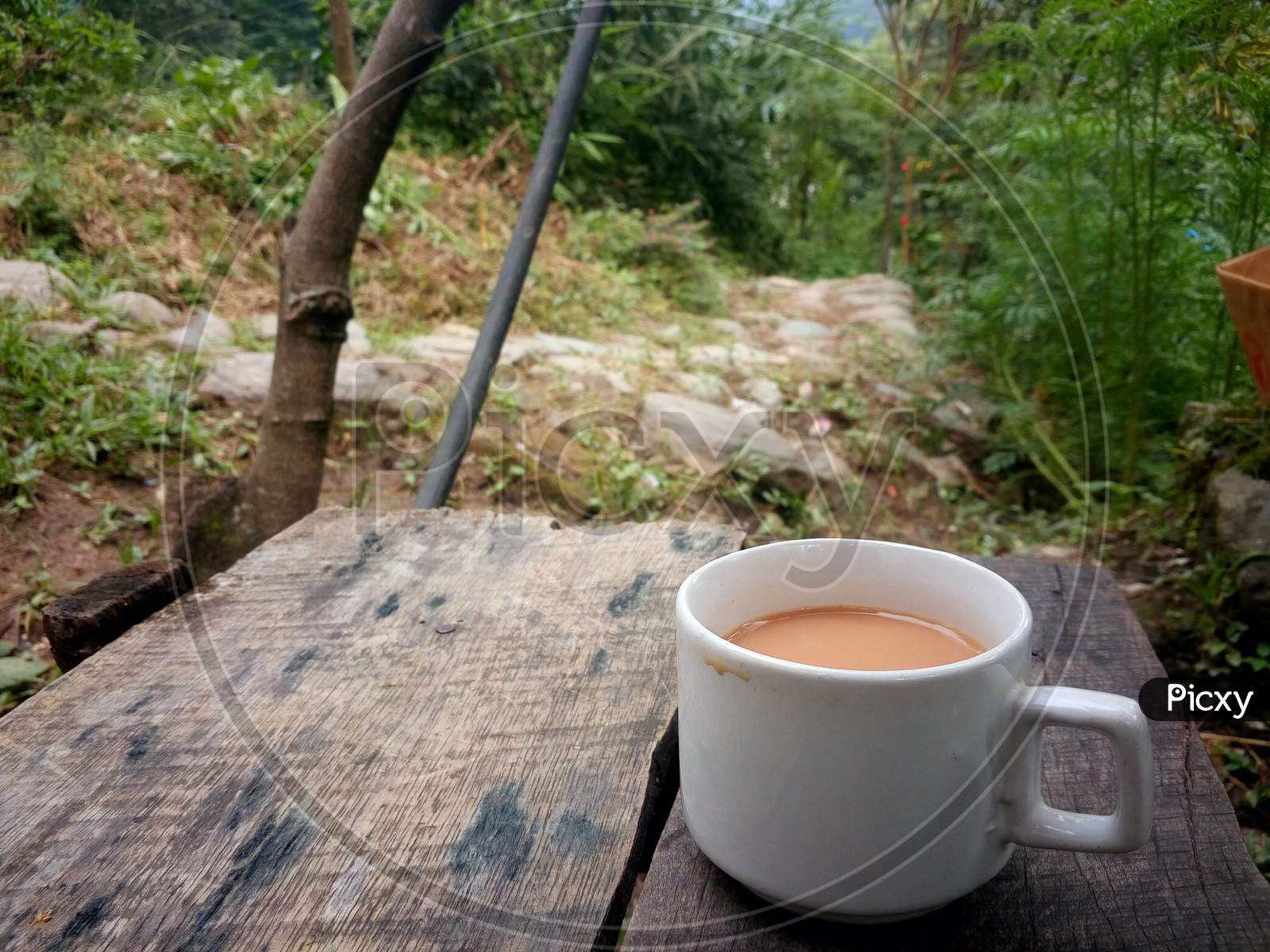 Sikkim Backyard Tea