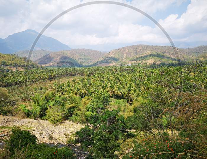 Narasimukku valley in Attappadi forest region Kerala