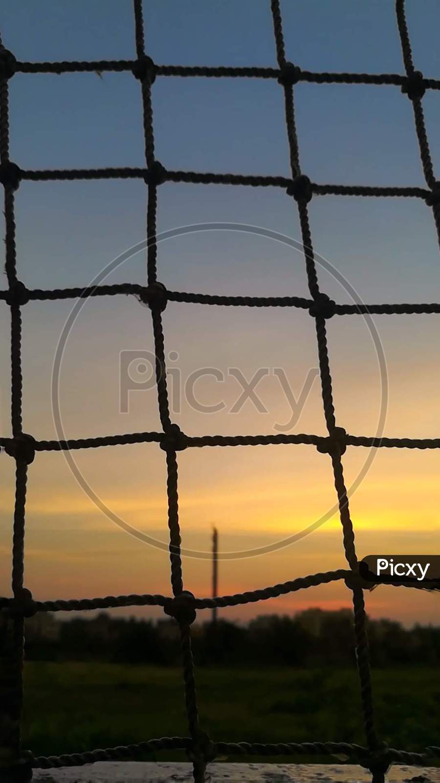 Sunset through net