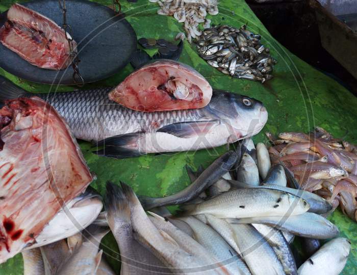 Fish Market.