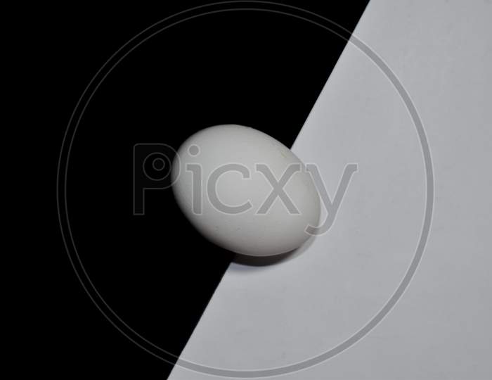 White egg | abstract