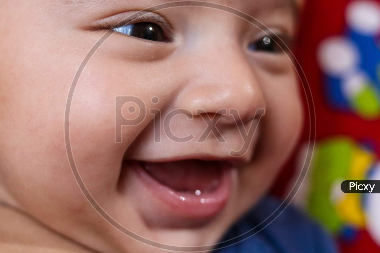 close up indian small baby boy