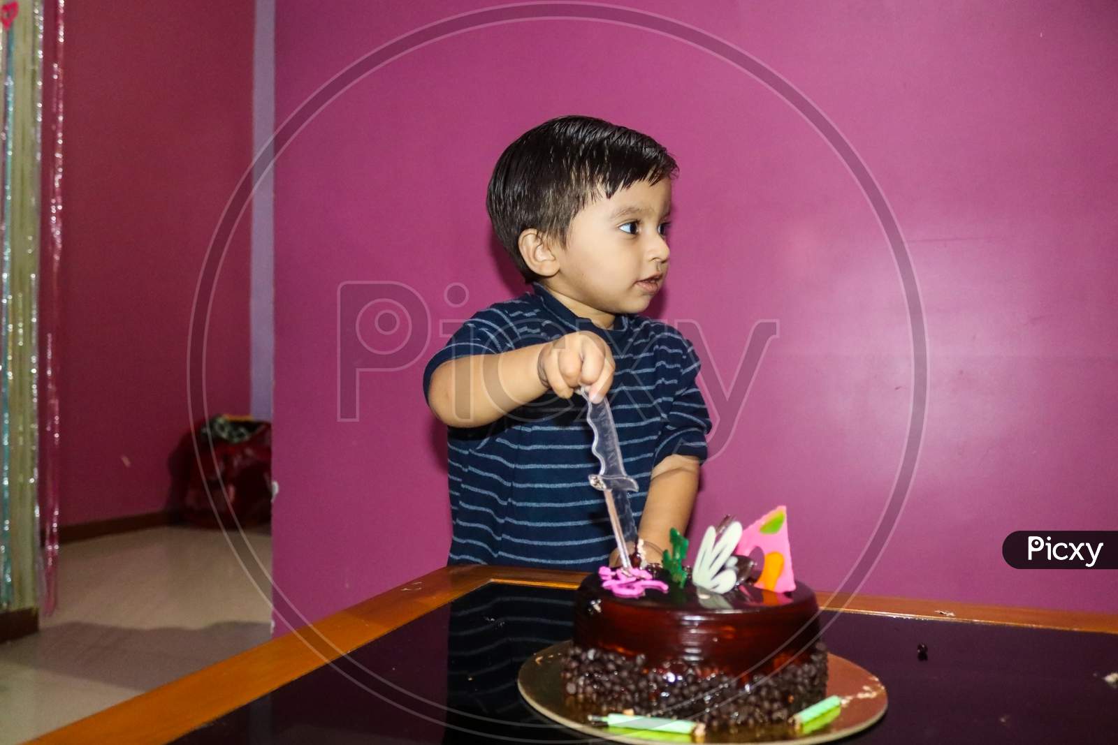 Image of indian small cute baby boy cutting cake-XC169978-Picxy