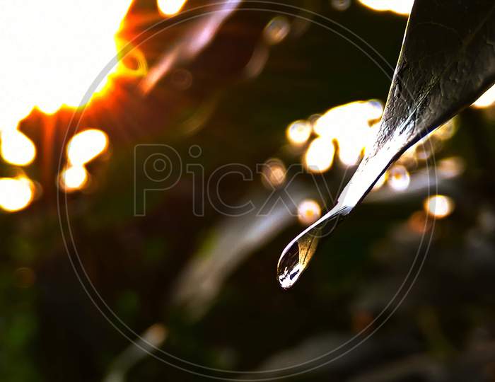 Spreading lights on a drop.