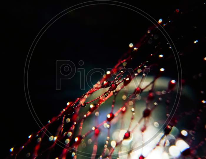 Water drops on the net.
