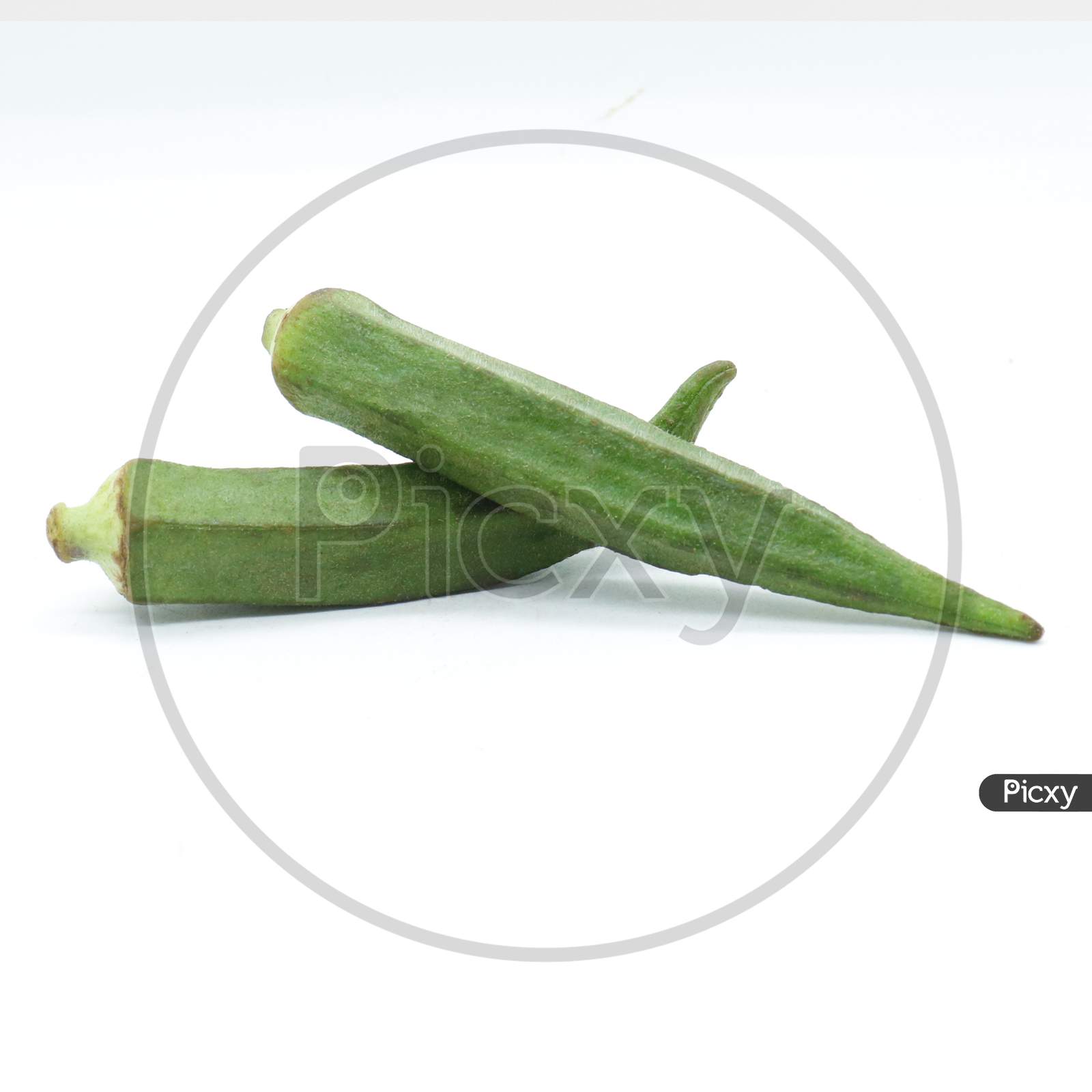An organic and healthy okra or lady's finger on white background