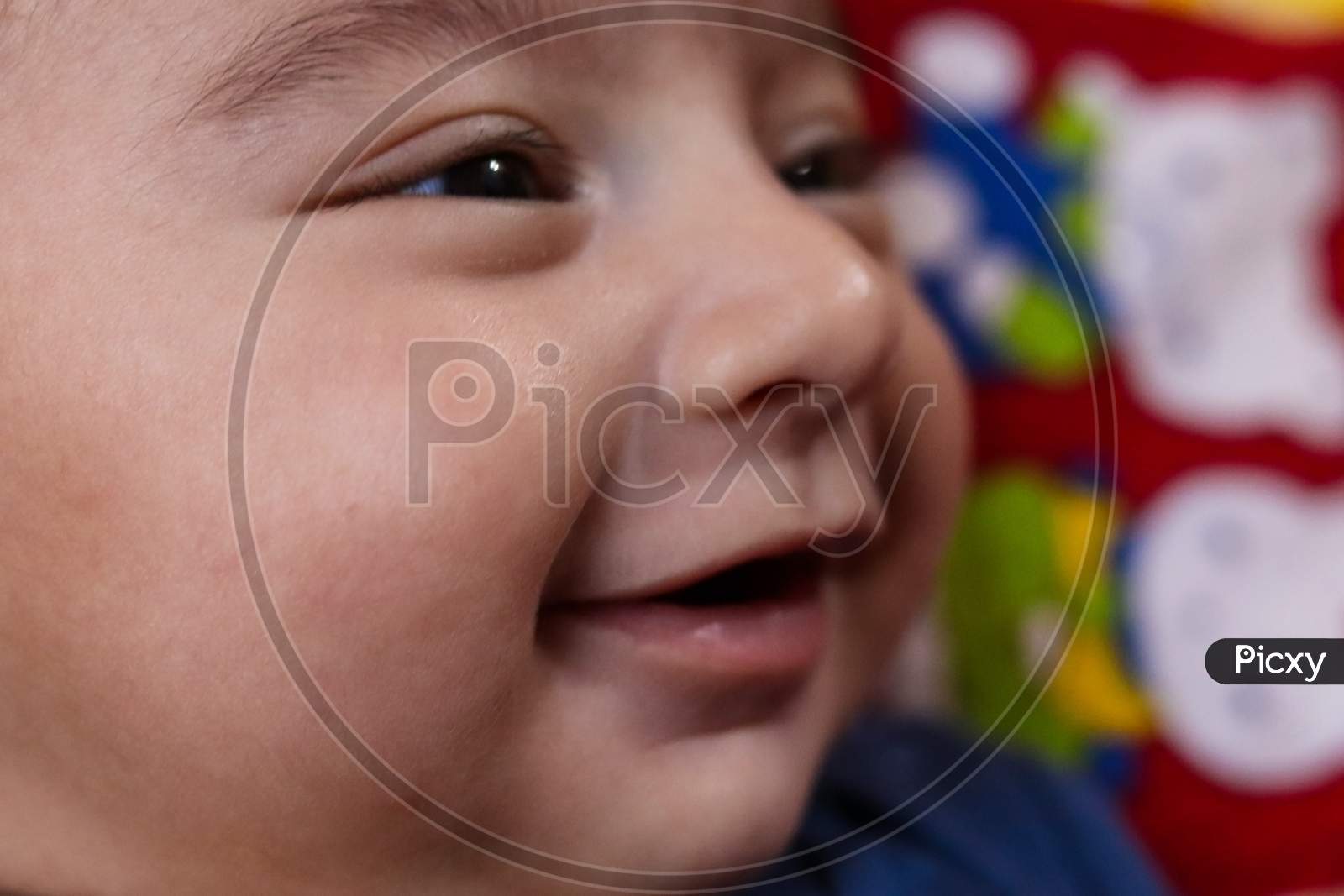 close up indian small baby boy