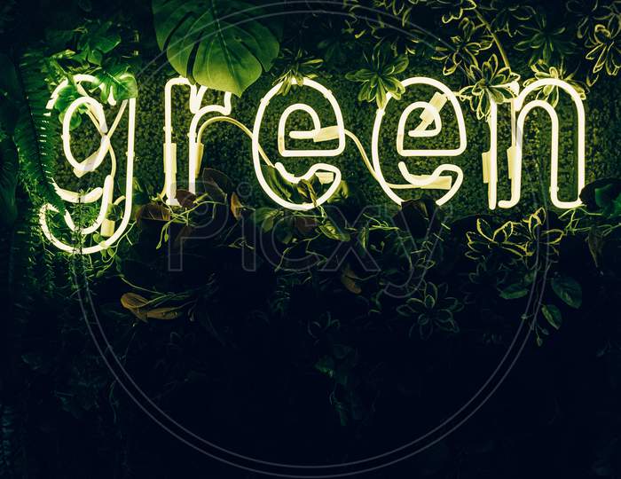 Illuminated & Innovative Green Sign In Garden During Night.