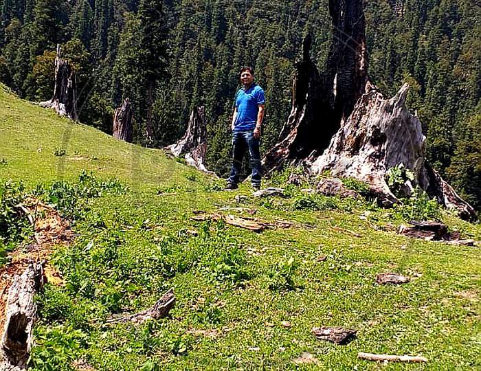 Lap of nature, Padri Jot in Himalayas,Himachal Pradesh