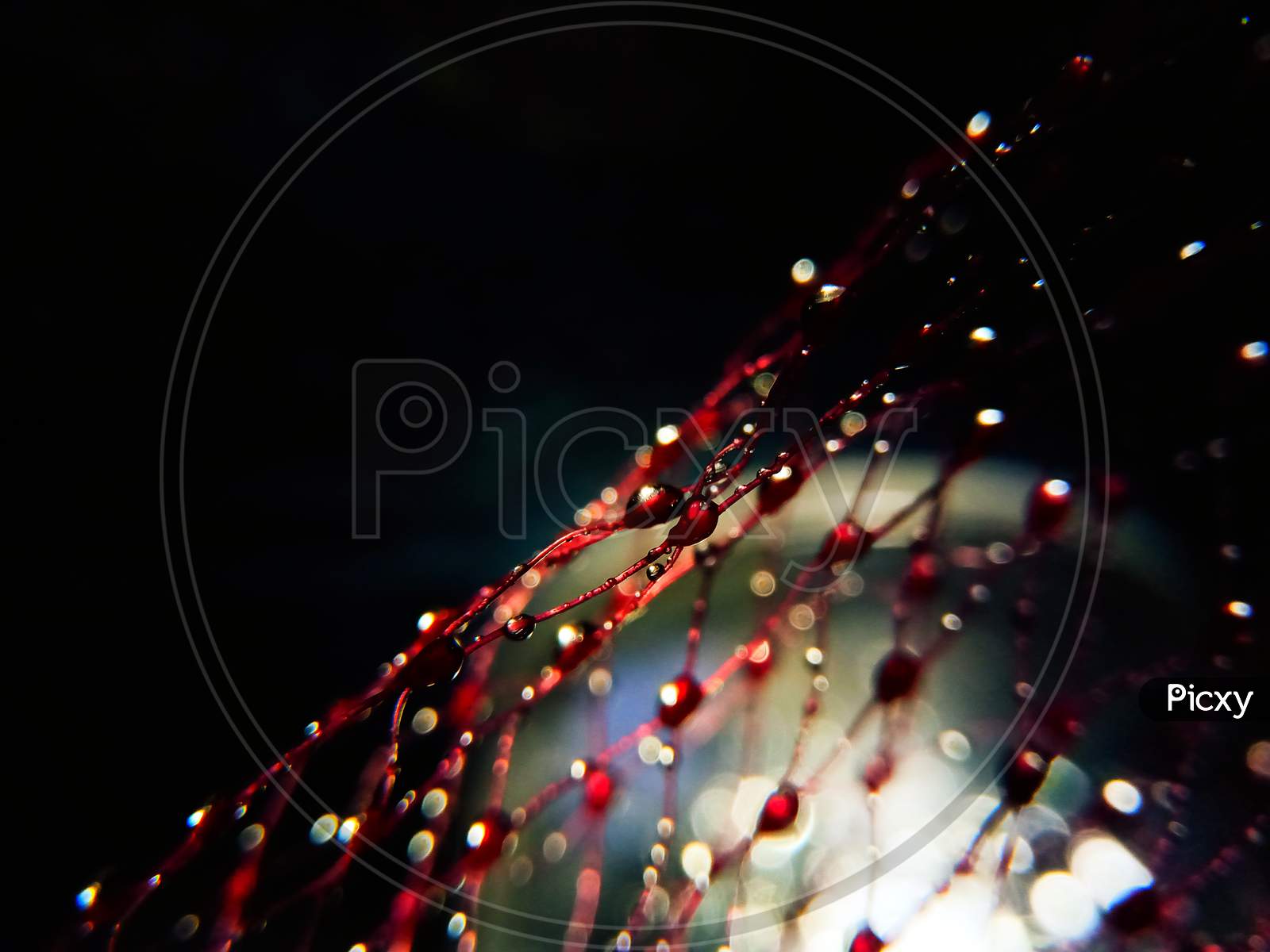 Water drops on the net.