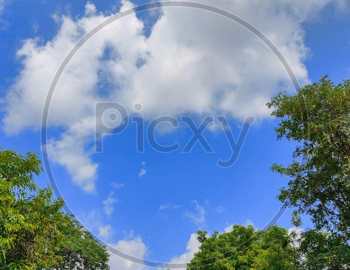 clouds with blue sky and tree .