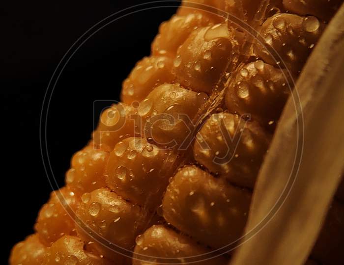 Corn with water droplets