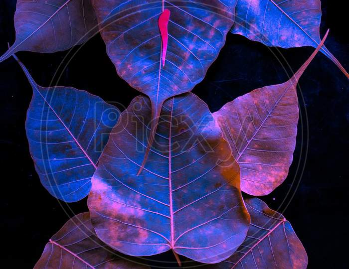 Design, art, leafs, purple , blue