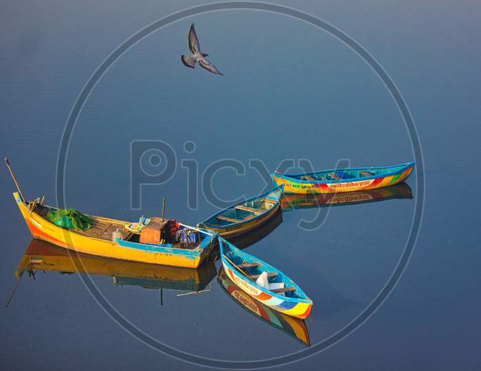 Boats in blue sea with the bird flying , Airoli, Mumbai, India