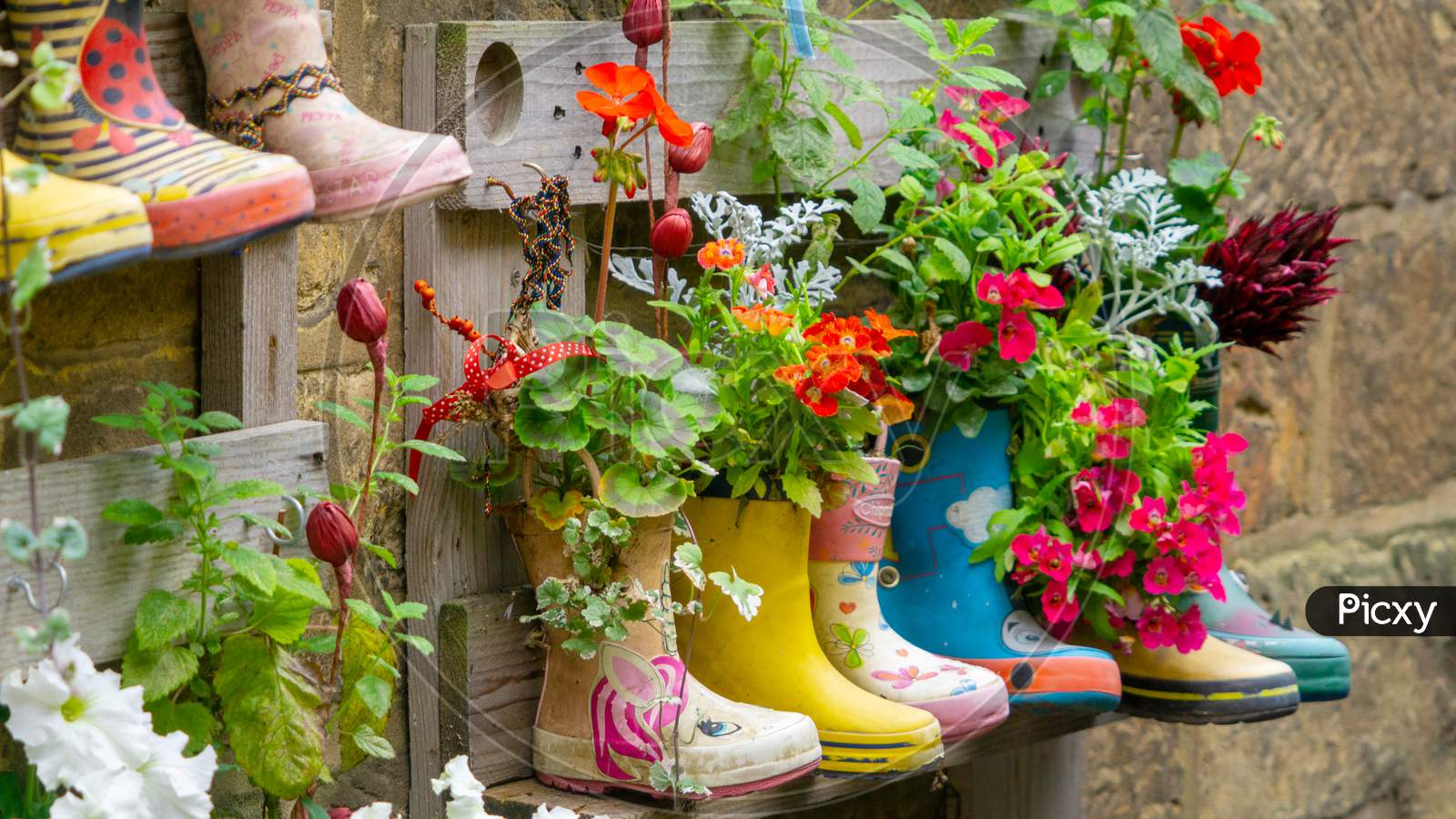 Rubber Wellington Boots Are Lined Up And Used As Flower Pots In The Coastal Village Of Staithes, North Yorkshire, Uk