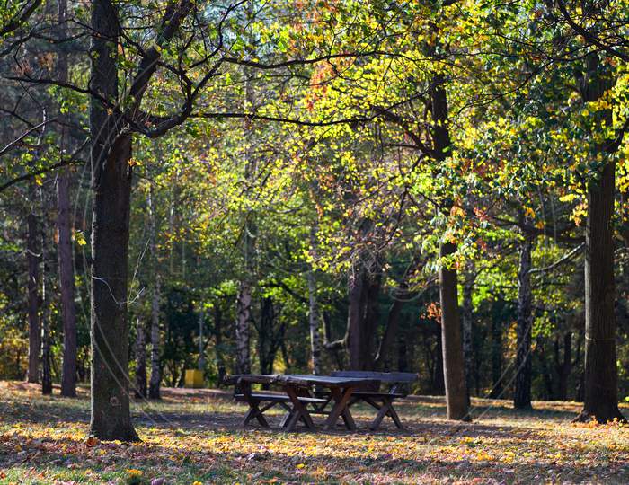 Picnic Table In Zvezdara Forest Park In Belgrade, Serbia, With Autumn Foliage