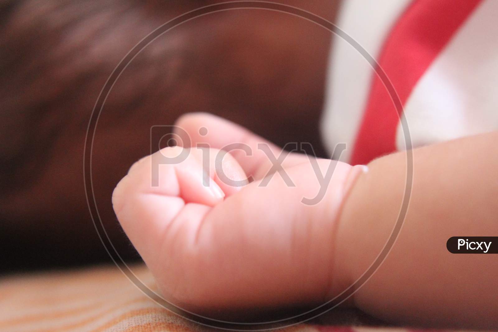 Closeup New Born Infant Baby Hand.