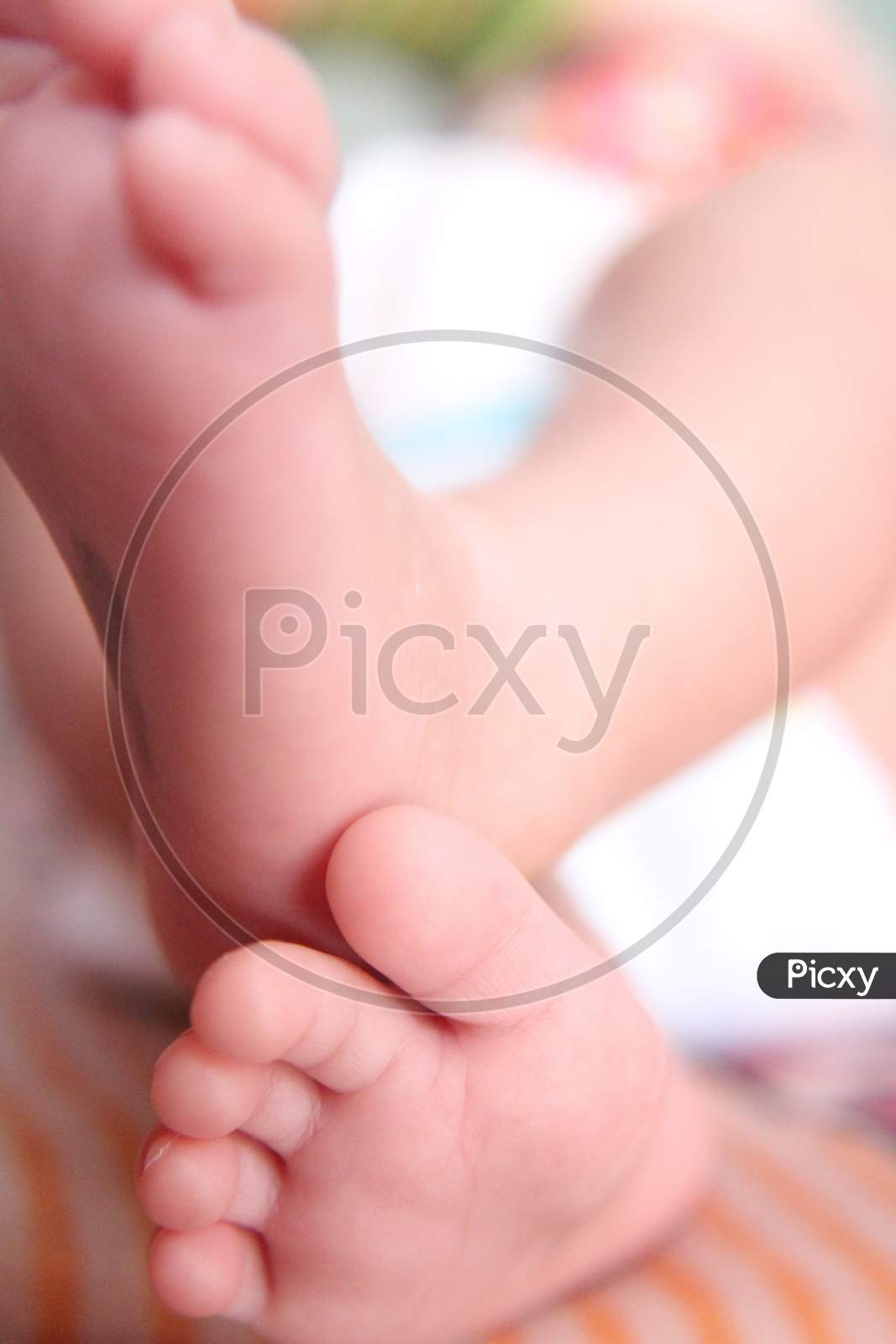 Closeup Of Tiny Newborn Baby'S Feet