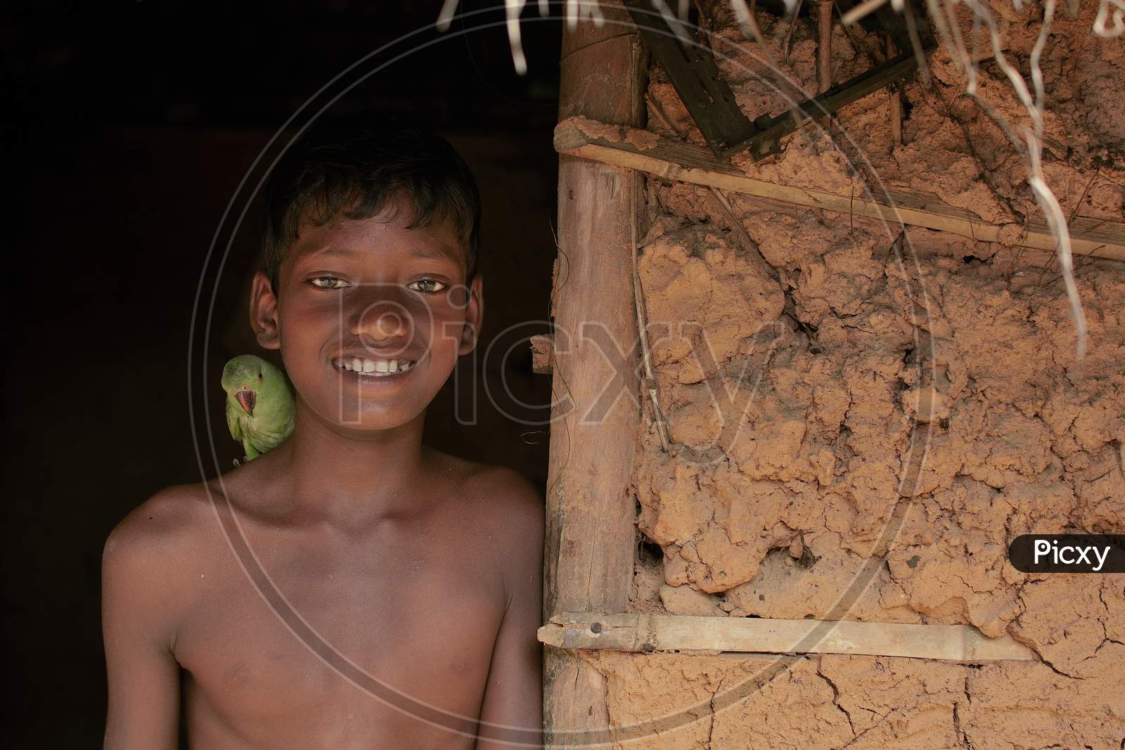 A Smiling Boy with a Green Parrot on His Right Shoulder