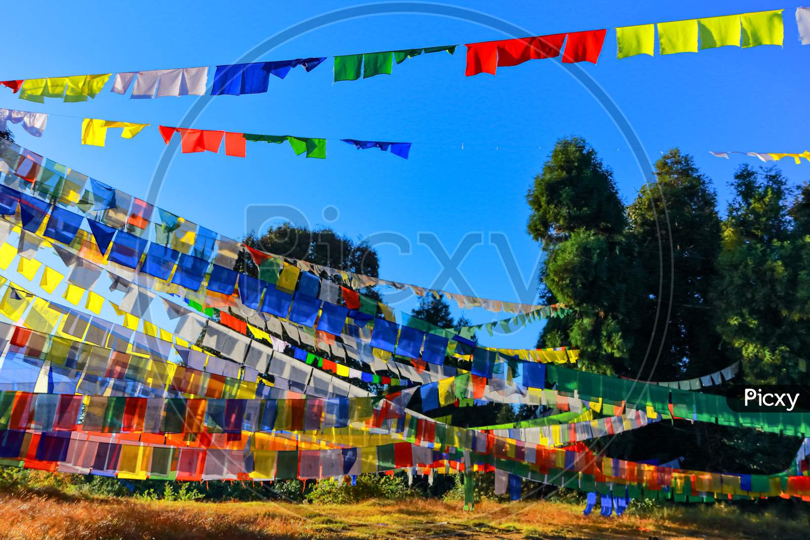 Colorful Tibetan prayer flags against early morning sun