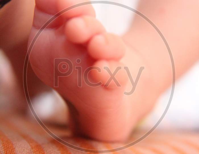 Closeup Of Tiny Newborn Baby'S Feet