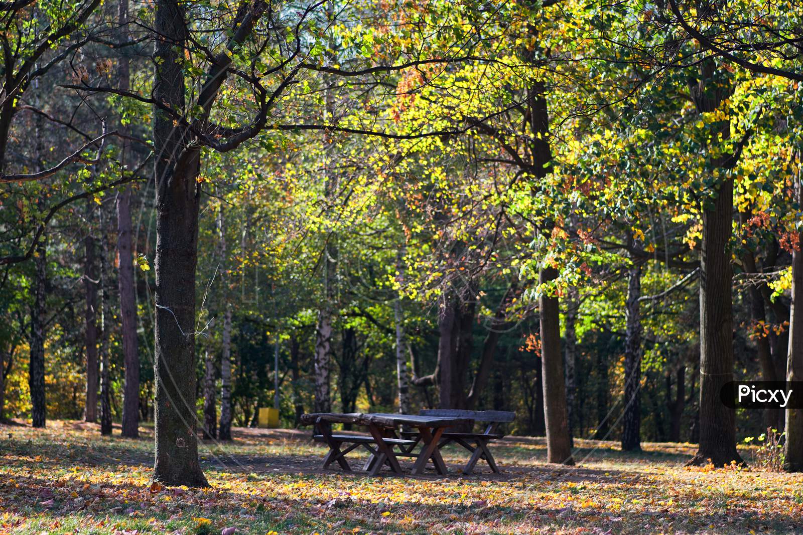 Picnic Table In Zvezdara Forest Park In Belgrade, Serbia, With Autumn Foliage