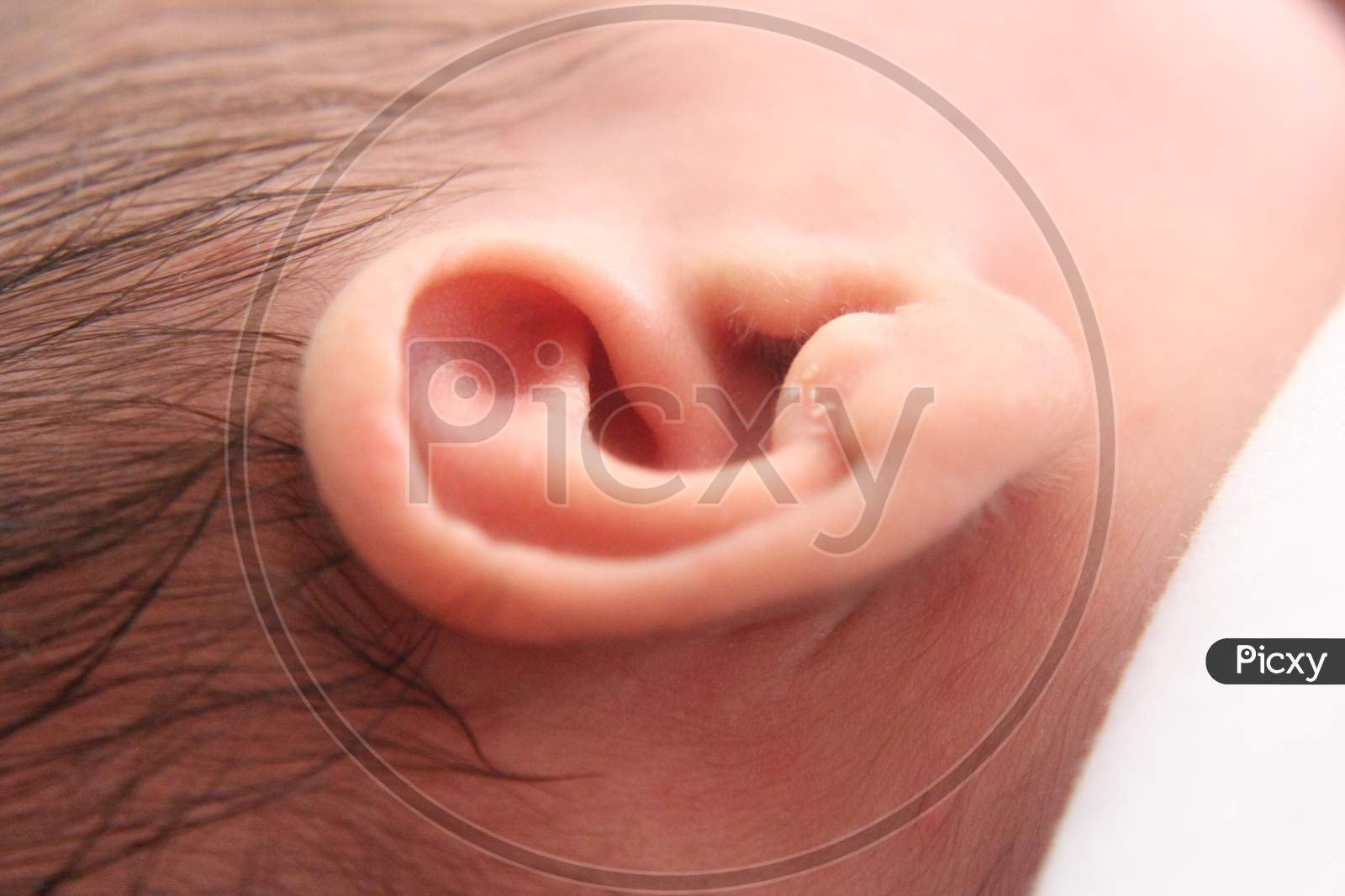 Closeup New Born Infant Baby Ear.
