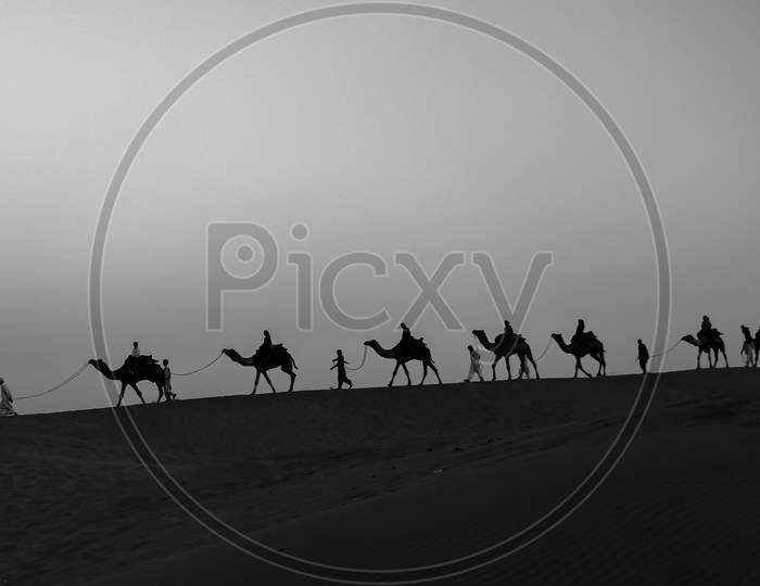A selective focus Silhouette of a line of camels walking on Sam sand dunes