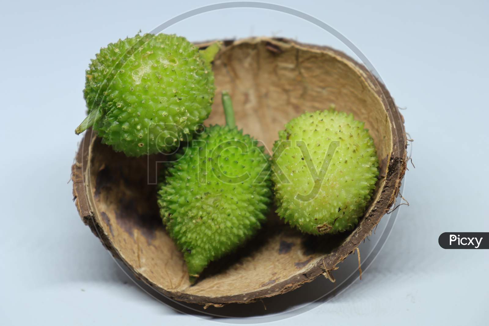 Fresh green colorful spiny gourd or teasel gourd vegetables on white background