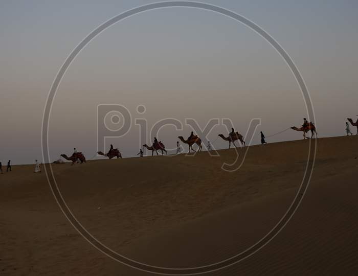 A line of camels walking on Sam sand dunes with people siting on them