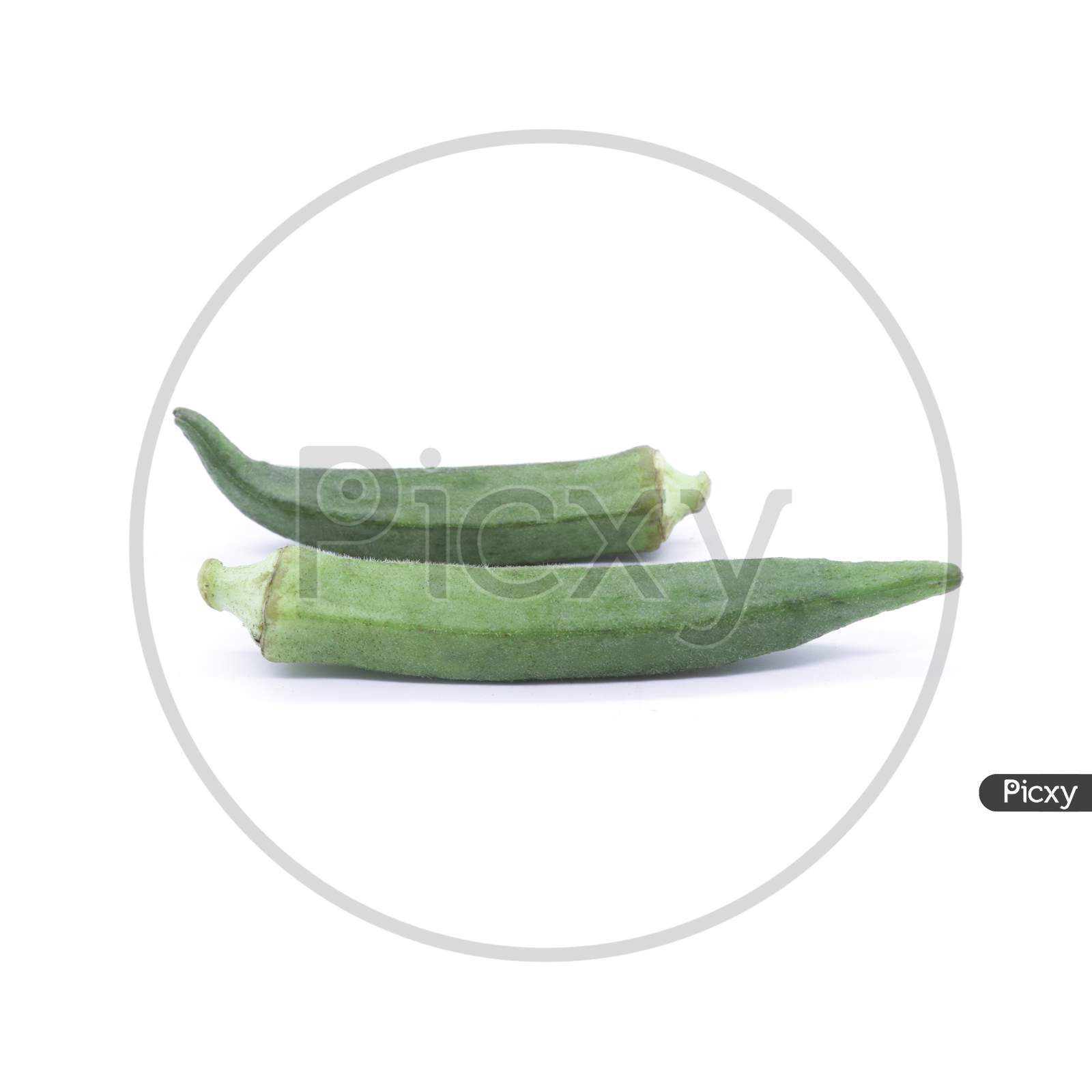 An organic and Fresh Bhindi - healthy okra or lady's finger on white background