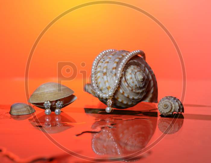 Pearl on the conch nd snail with an orange background