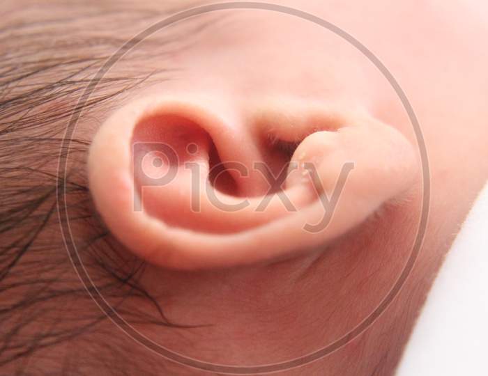 Closeup New Born Infant Baby Ear.