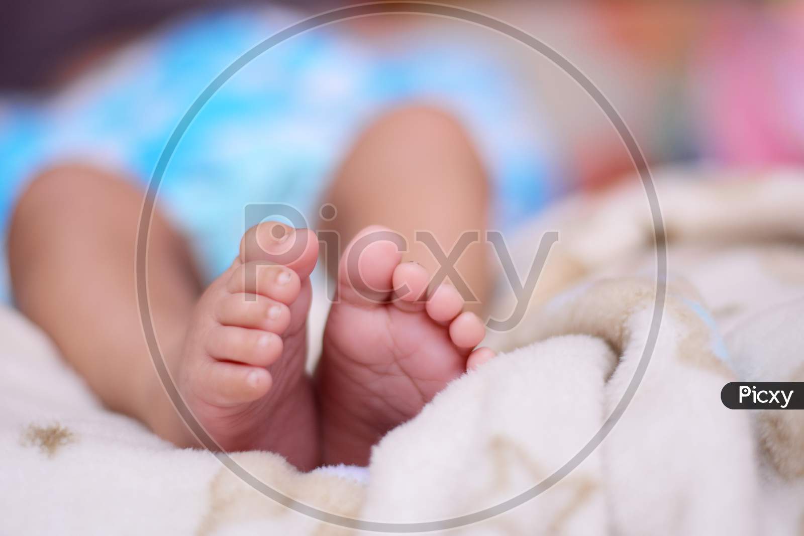 Tiny feet of newborn on a off white blanket