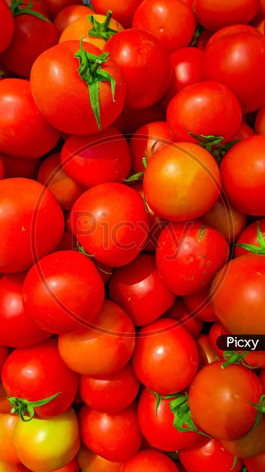 Tomato,red