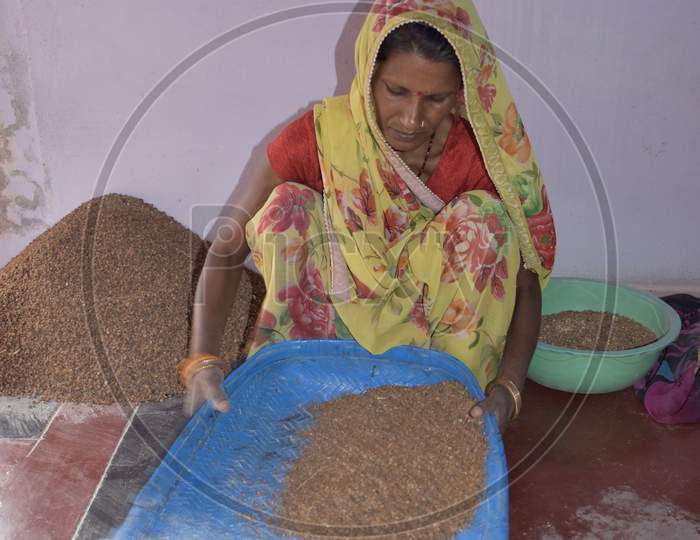 Rural Indian Women Cleaning Grain At Home