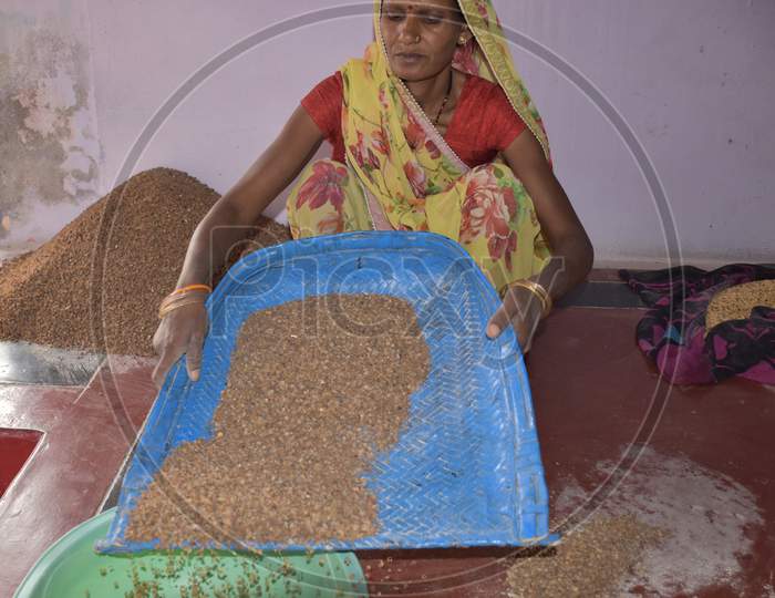 Rural Indian Women Cleaning Grain At Home