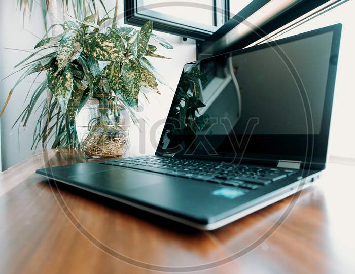 Work Space With A Laptop And A Plant Over A Wooden Table Near A Bright Window