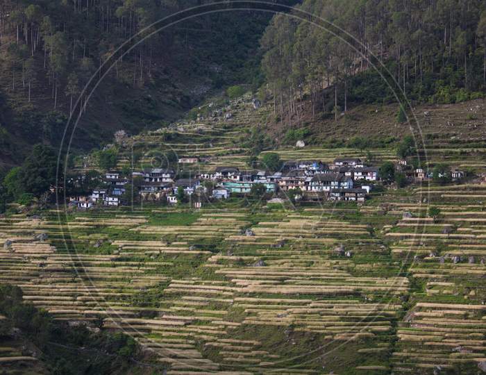 A Village Landscape