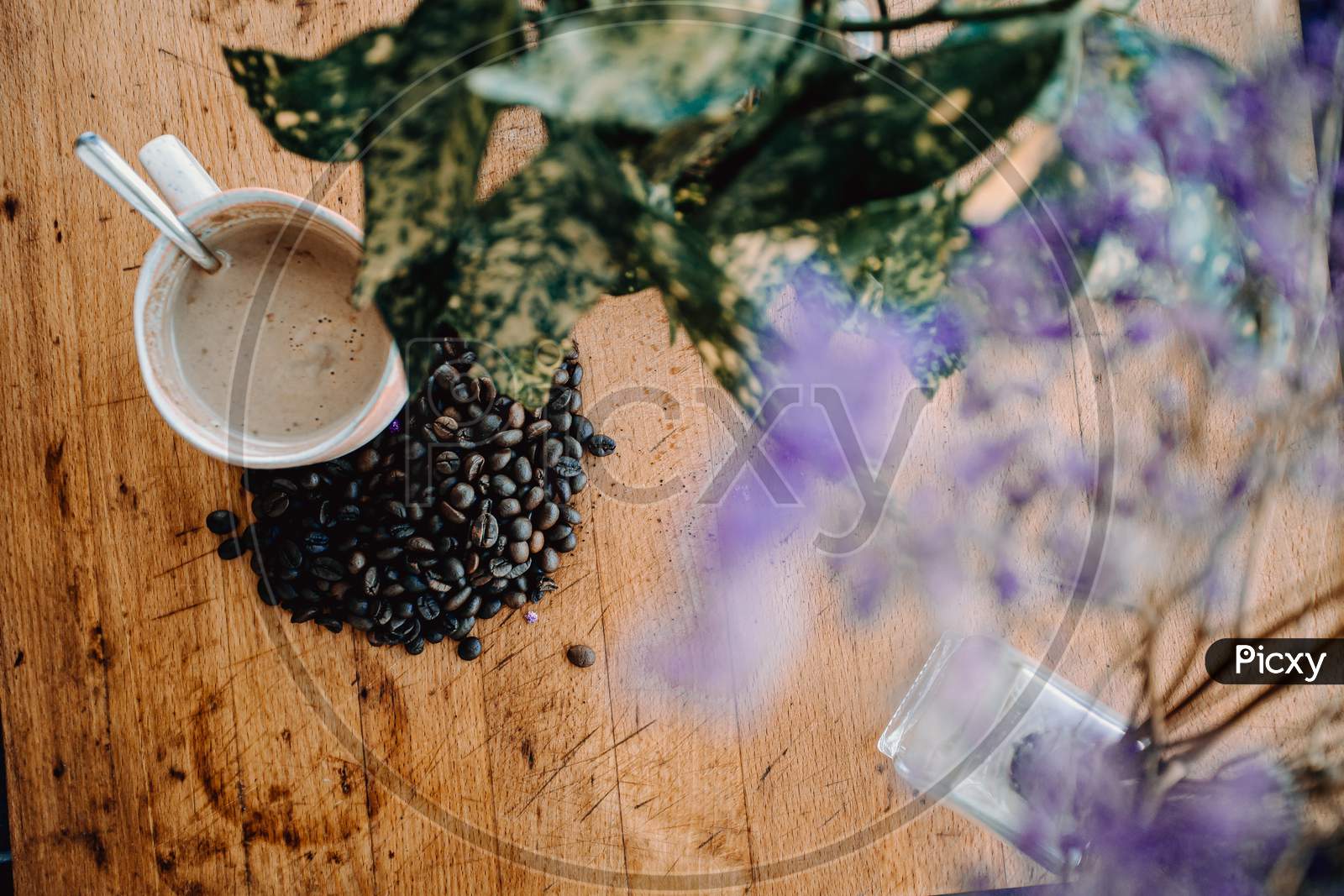 Vintage Flat Lay Of A Cup Of Coffee With Grains Of Coffee Near It And A Plant Decorating Over A Wood Table